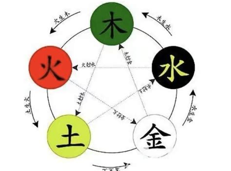 嫺五行|嫺字五行属什么